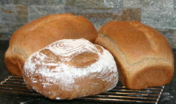 Peter Reinhart's Whole Wheat Sandwich Bread