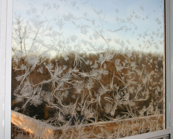 ice-crystals